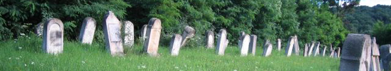 kevarim.com header image 3